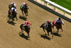 We are crossing our fingers that every horse in today's big races at Churchill Downs crosses the finish line safely.
